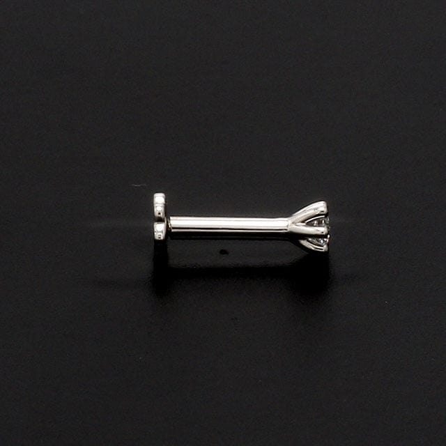 18g 20g Single Platinum Hoop Platinum Jewelry for Piercings Hypoallergenic  Earrings Platinum Nose Ring Cartilage Hoops 18 20 Gauge - Etsy | Platinum  jewelry, Nose ring, Hypoallergenic earrings